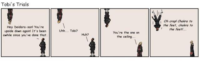 Tobi on the ceiling